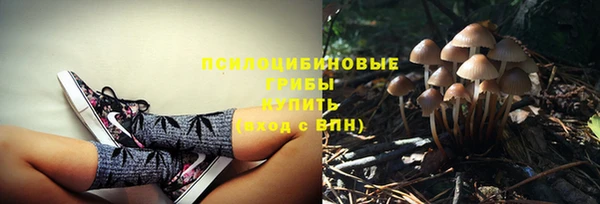 мдма Медвежьегорск