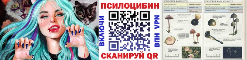 Купить где  Псков  Псилоцибиновые грибы ЛСД 